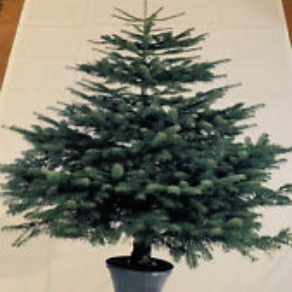 Ikea VINTER 2014 Christmas Tree fabric panel - Picture 2 of 5